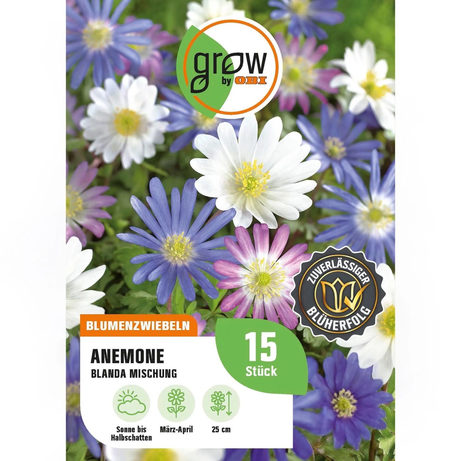 GROW by OBI Anemonen blanda Mischung 15 Stück Anemonen blanda Mixed