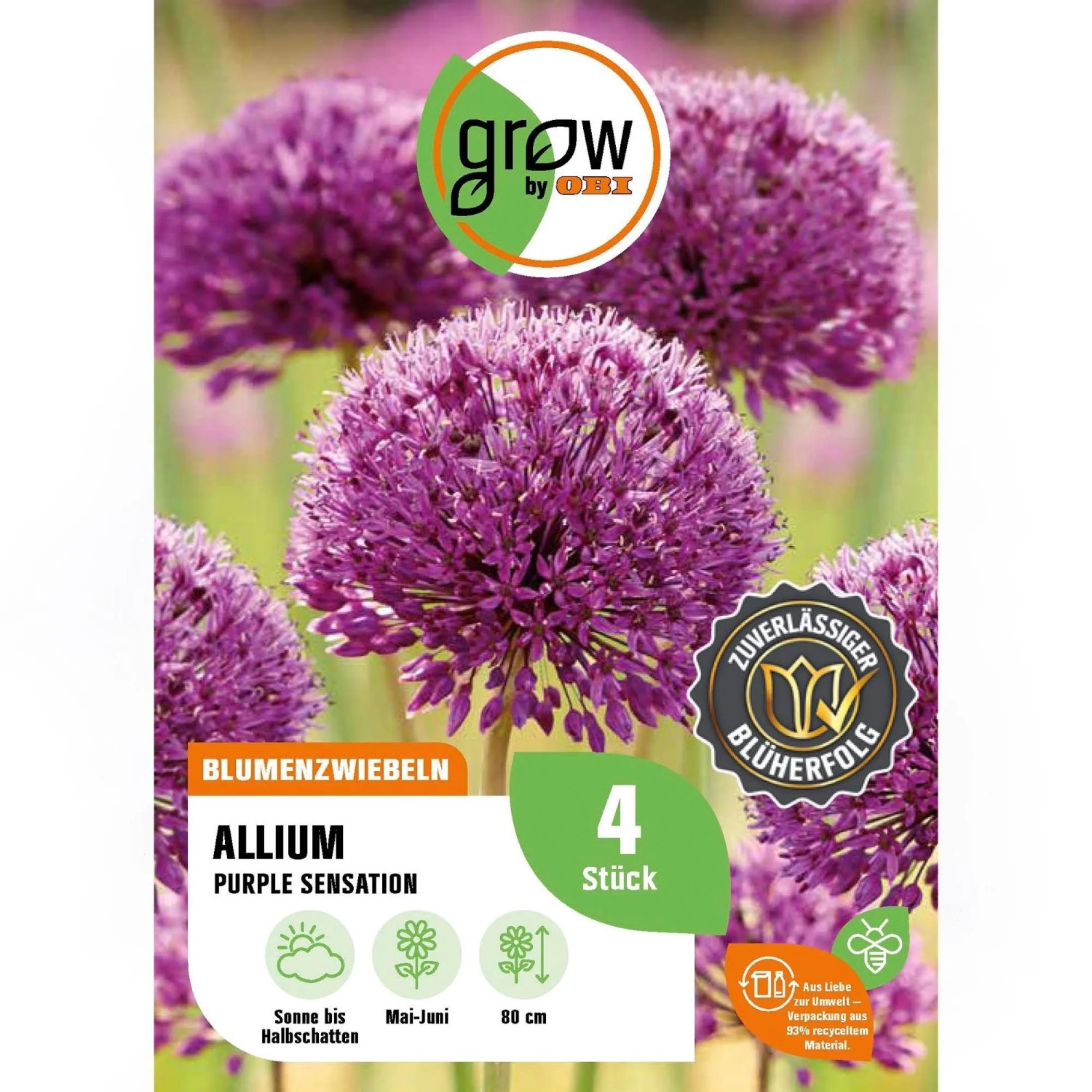 GROW by OBI Zierlauch Purple Sensation 4 Stück Allium aflatunense Allium