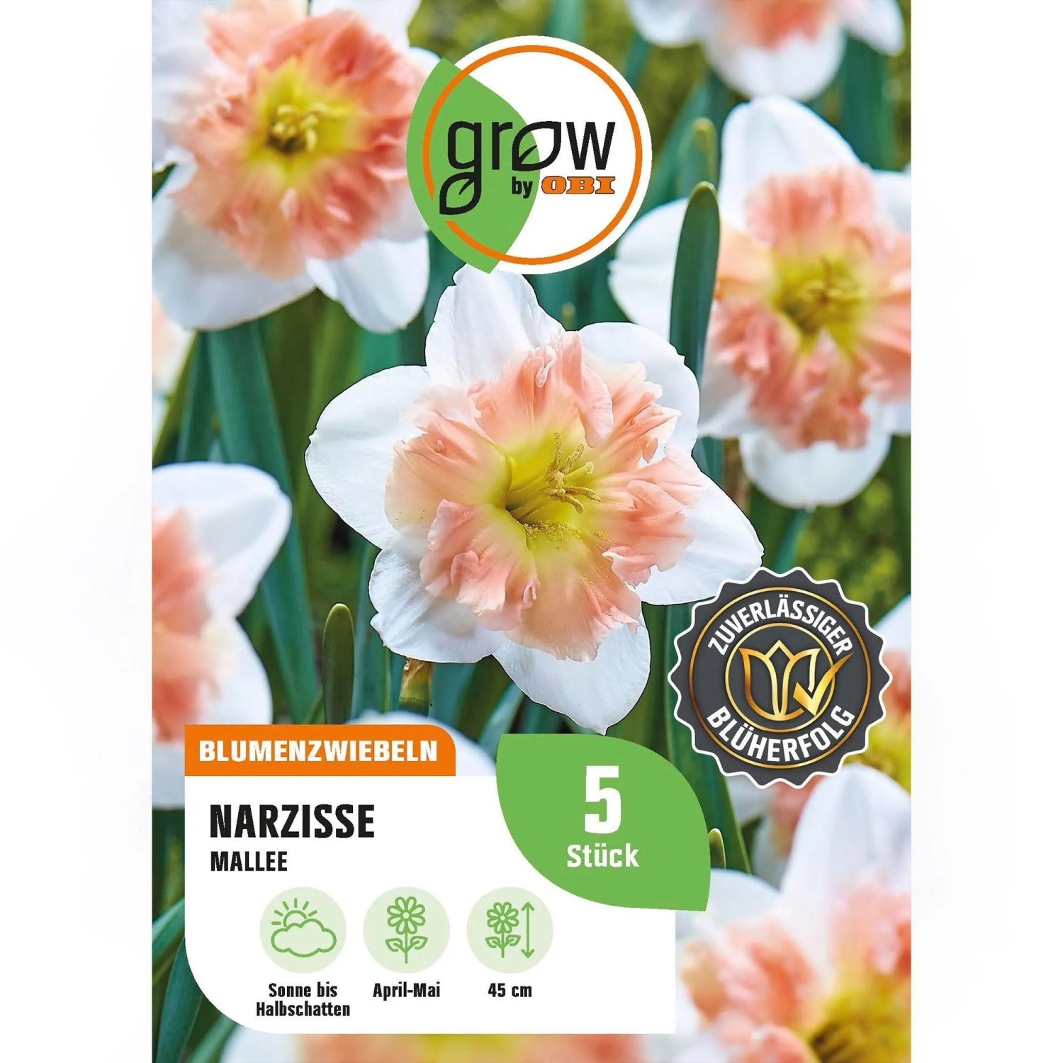 GROW by OBI Narcisse Mallee Rosa-Weiß 4 Stück Narcissus split corona Mallee