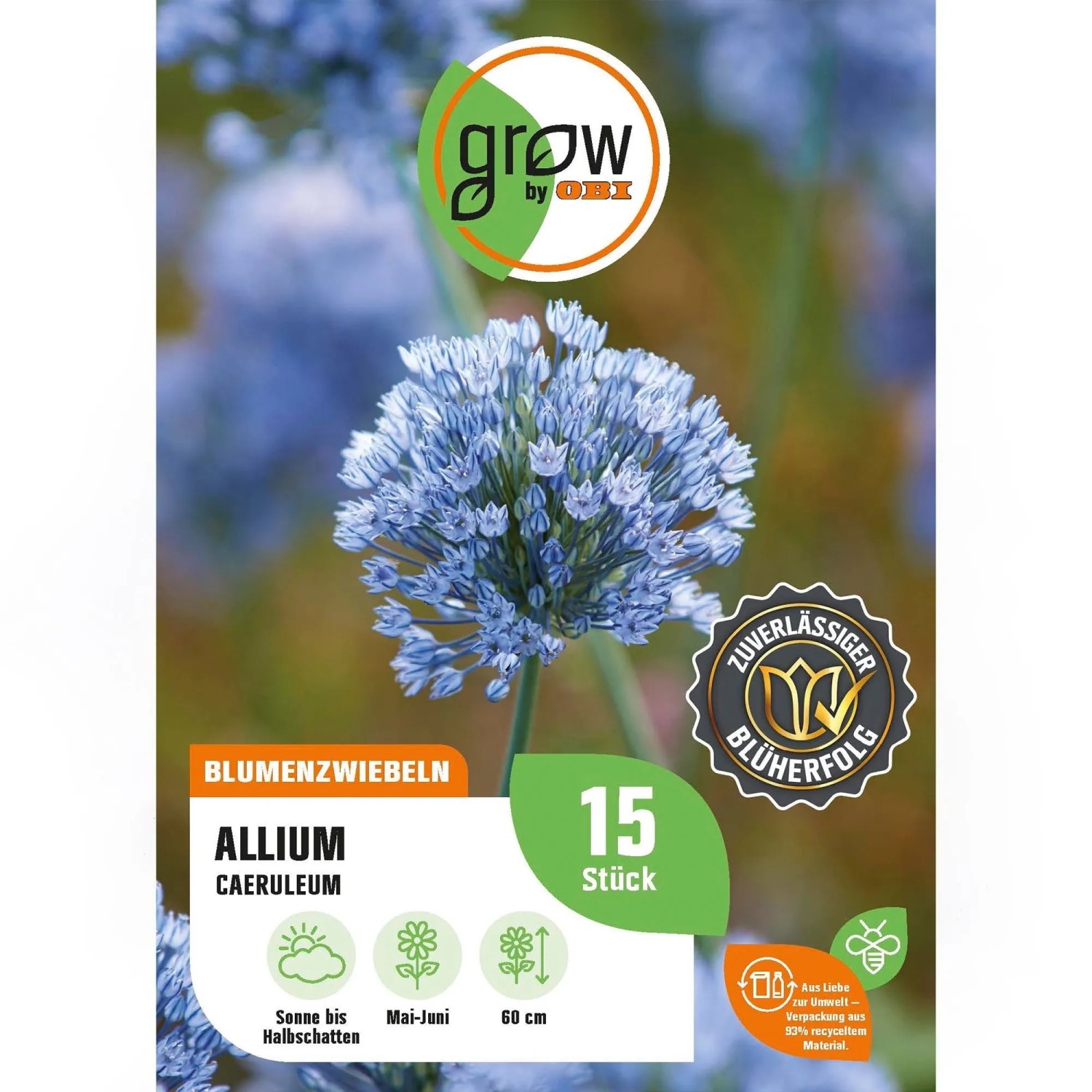GROW by OBI Zierlauch Caeruleum 4/5 Blau 15 Stück Allium caeruleum