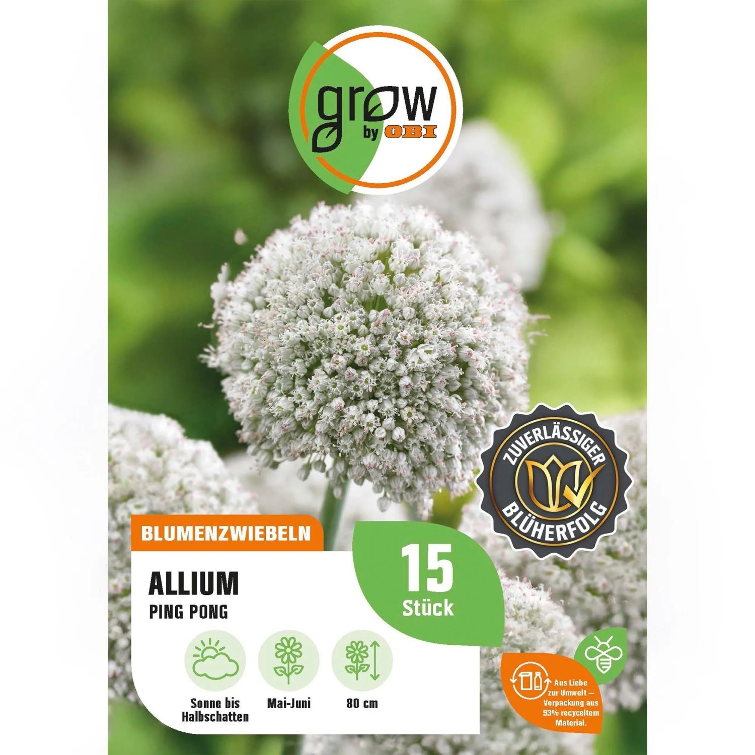 GROW by OBI Zierlauch Ping Pong Weiß 15 Stück Allium ampeloprasum Ping Pong