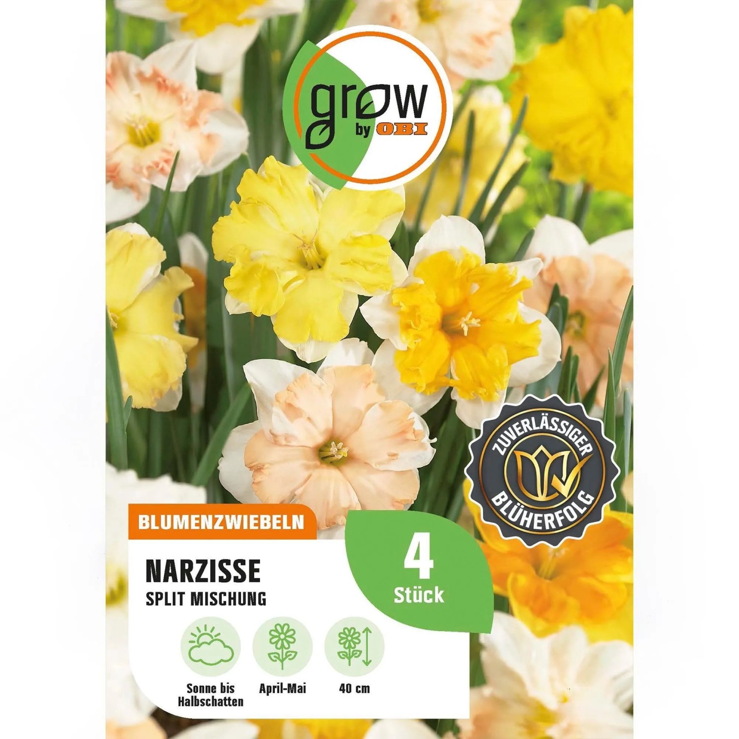 GROW by OBI Narzissen Split Mischung 4 Stück Narcissus split corona Mixed