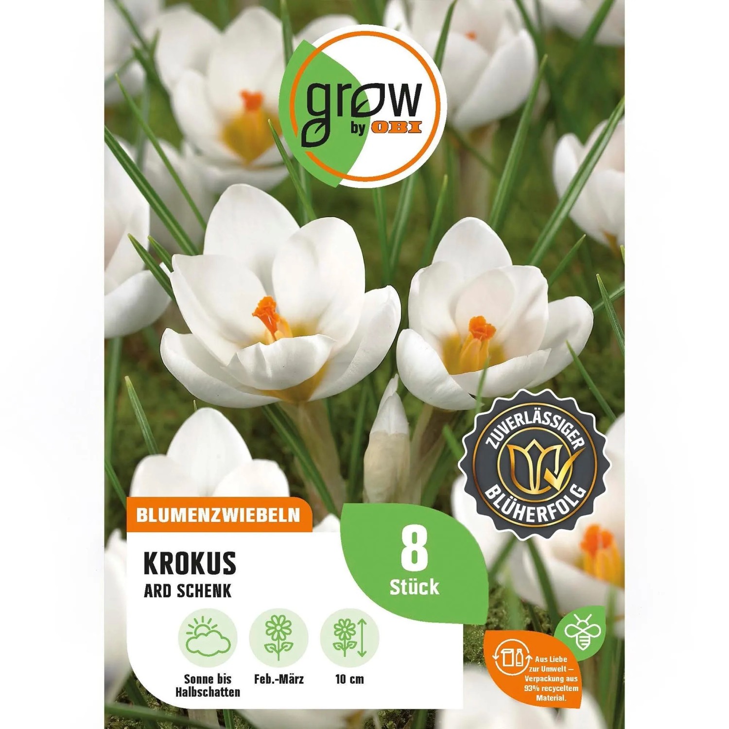 GROW by OBI Krokus Ard Schenk Weiß 8 Stück Crocus chrysanthus Ard Schenk