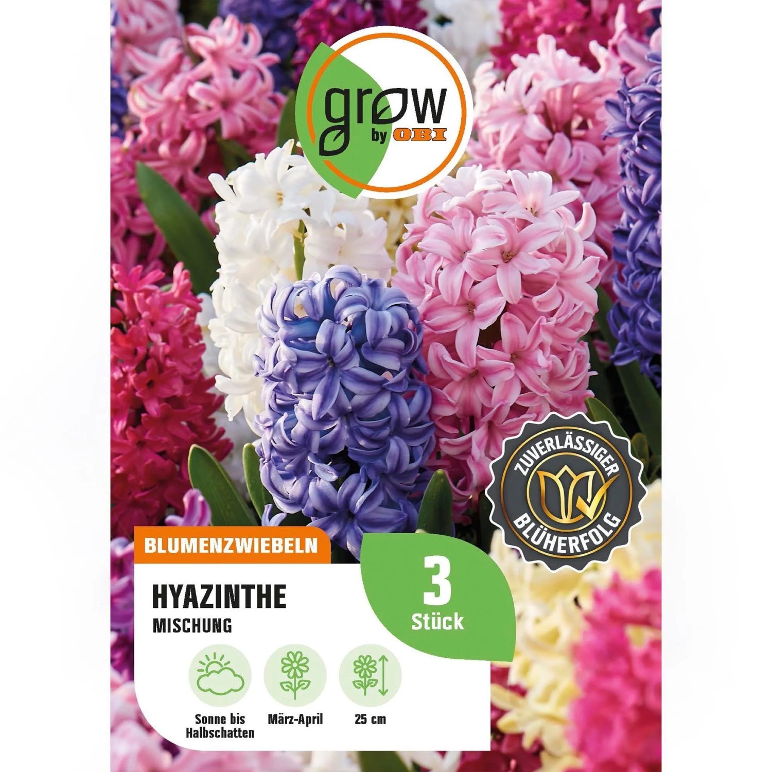 GROW by OBI Hyazinthen Mischung 3 Stück Hyacinthus orientalis Mixed