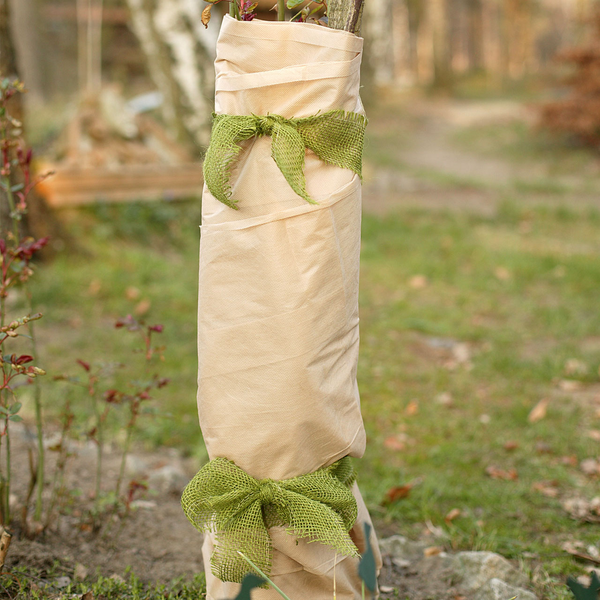 Winterschutz-Vlies 1,5 x 5 m beige Bild 3