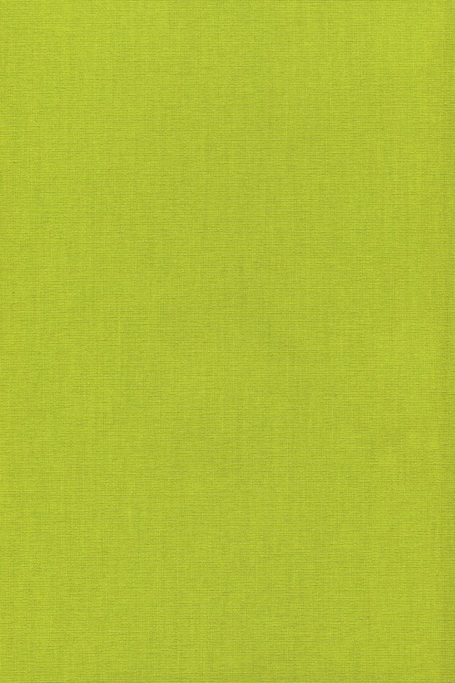 Rollo Basisrollo Tageslicht Gelbgrün, LYSEL®, blickdicht, HxB 175x82.5cm Bild 2