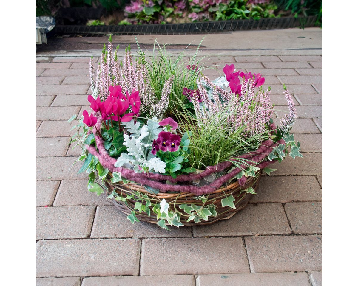matches21 HOME & HOBBY Blumentopf Runde Pflanz-Schalen für außen Pflanz-Ringe grau 30, 38 cm (1 St), Blumen-Körbe als Pflanz-Körbe, Blumen-Schalen und Grabschmuck