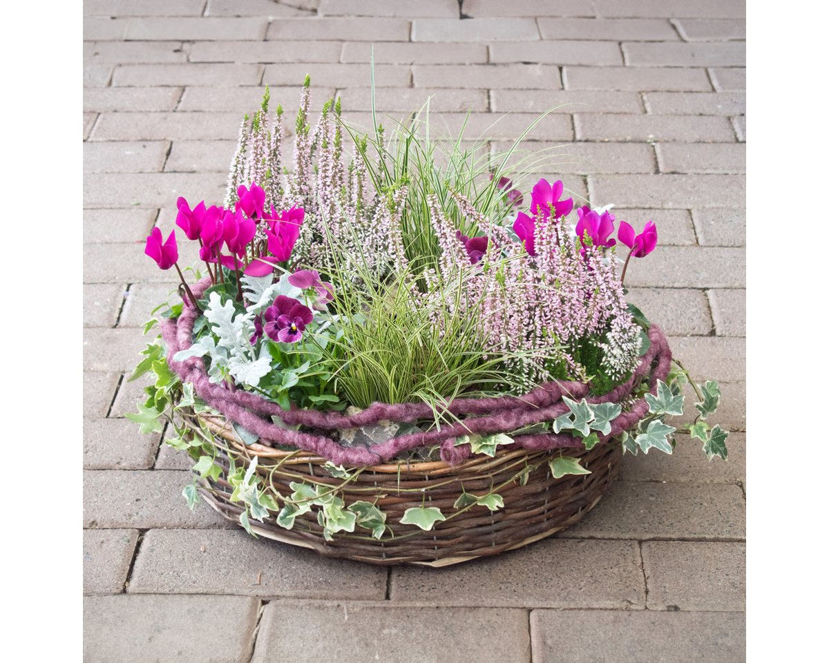 matches21 HOME & HOBBY Blumentopf Runde Pflanz-Schalen für außen Pflanz-Ringe grau 30, 38 cm (1 St), Blumen-Körbe als Pflanz-Körbe, Blumen-Schalen und Grabschmuck Bild 2