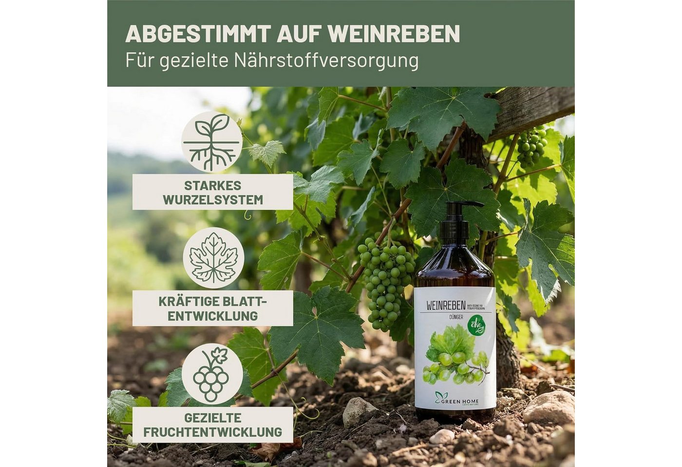 GREEN HOME LOVE NATURE Obstdünger Flüssigdünger NPK 5+5+7 für Weinreben, Feigen & Heidelbeeren, Weinreben, NPK 5+5+7, Spurennährstoffe, chelatiert, Dosierpumpe Bild 3