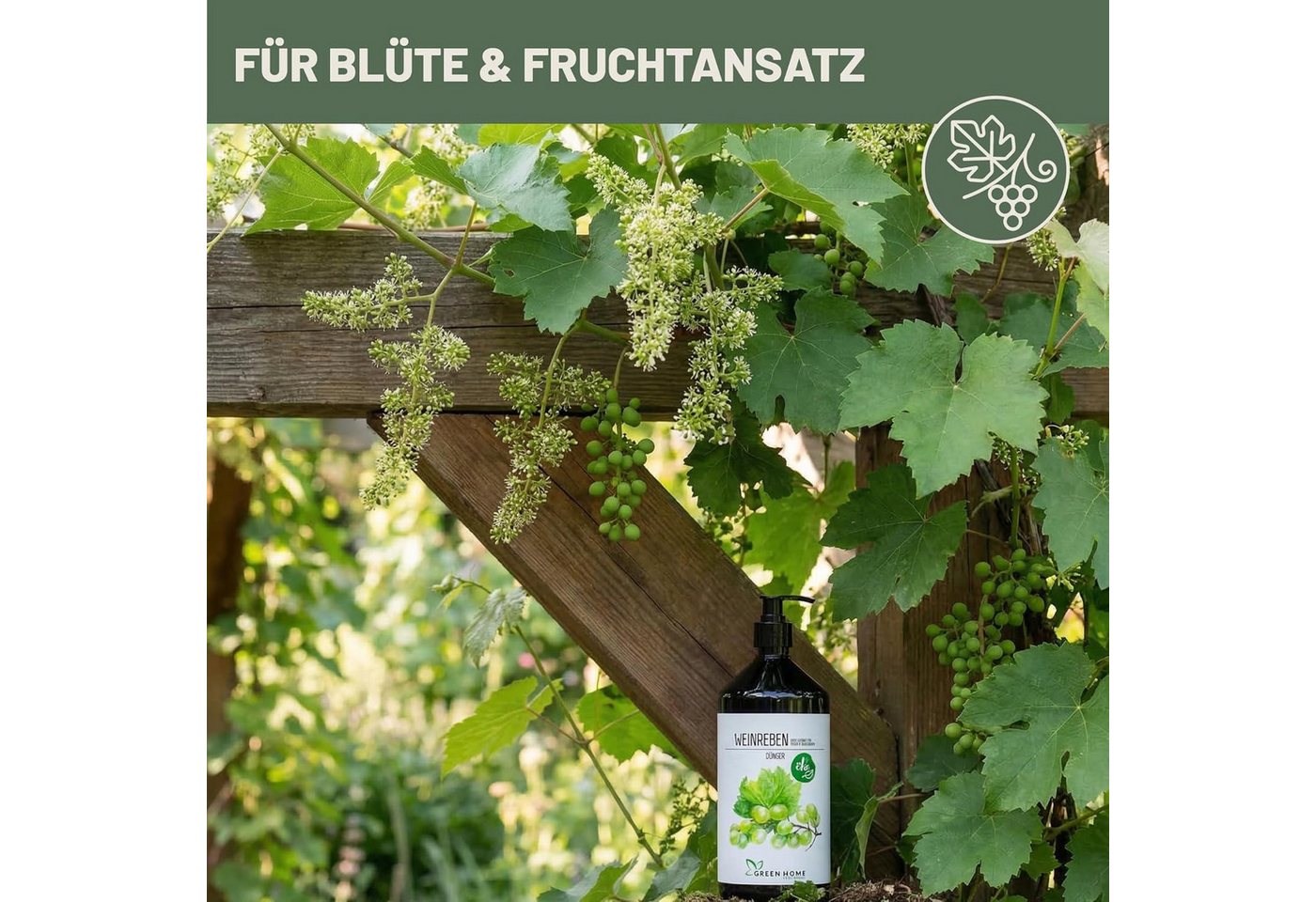 GREEN HOME LOVE NATURE Obstdünger Flüssigdünger NPK 5+5+7 für Weinreben, Feigen & Heidelbeeren, Weinreben, NPK 5+5+7, Spurennährstoffe, chelatiert, Dosierpumpe Bild 5
