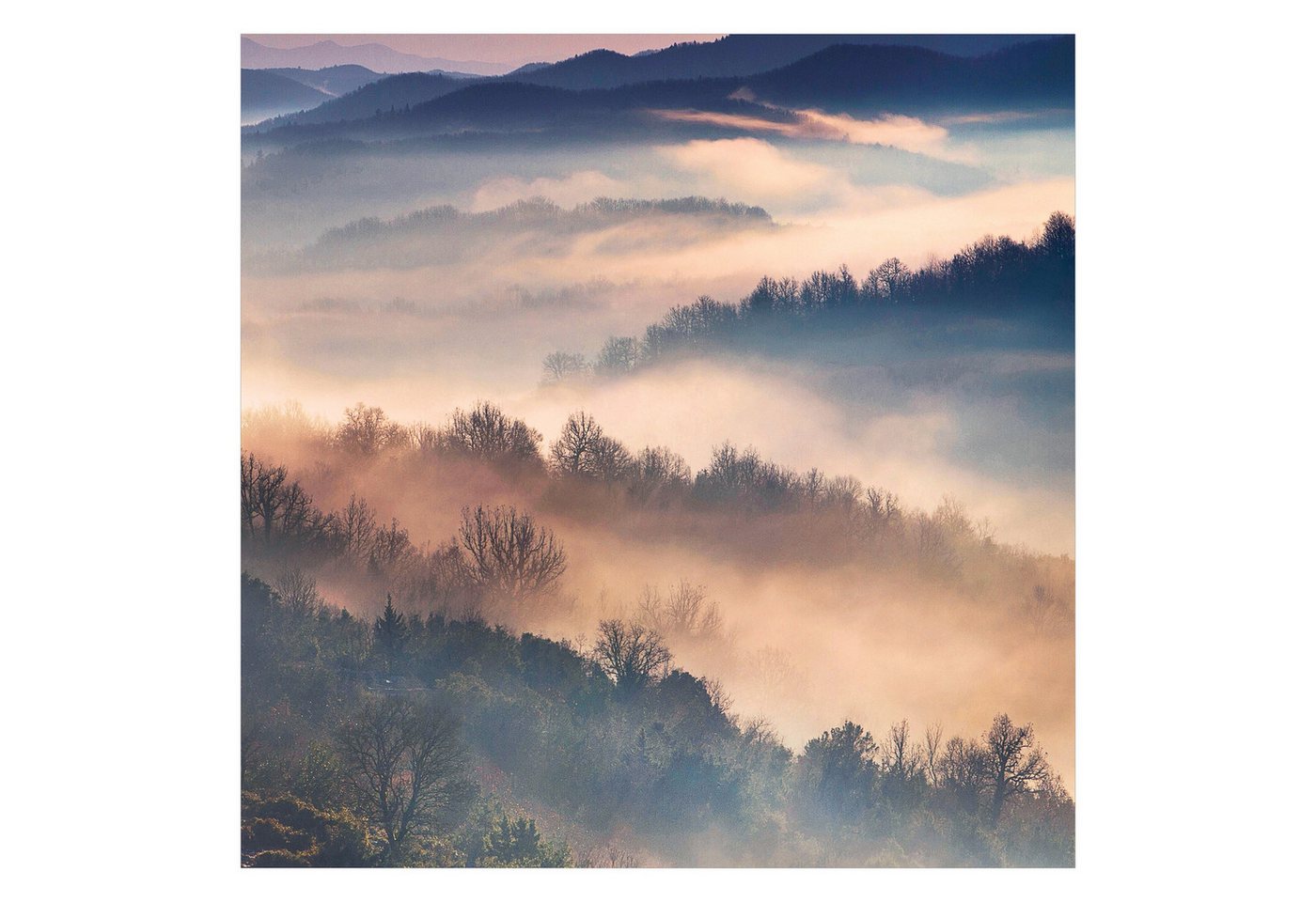 Bilderdepot24 Fototapete Wald Nebel Sonnenuntergang Natur Landschaft Waldtapete Bäume, Glatt, Matt, (Vliestapete inkl. Kleister oder selbstklebend), Wohnzimmer Schlafzimmer Küche Flur Motivtapete Vliestapete Wandtapete