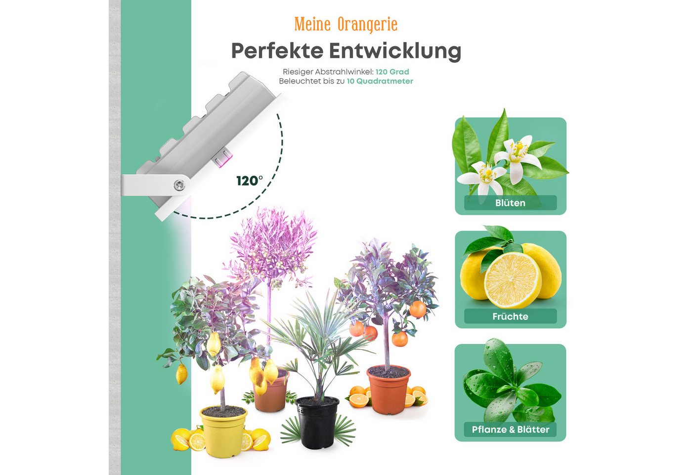 Meine Orangerie Pflanzenlampe 20W LED-Spezialleuchte zur Überwinterung von Pflanzen, LED fest integriert, 400-750nm, LED-Pflanzenlampe Speziallichtquelle
