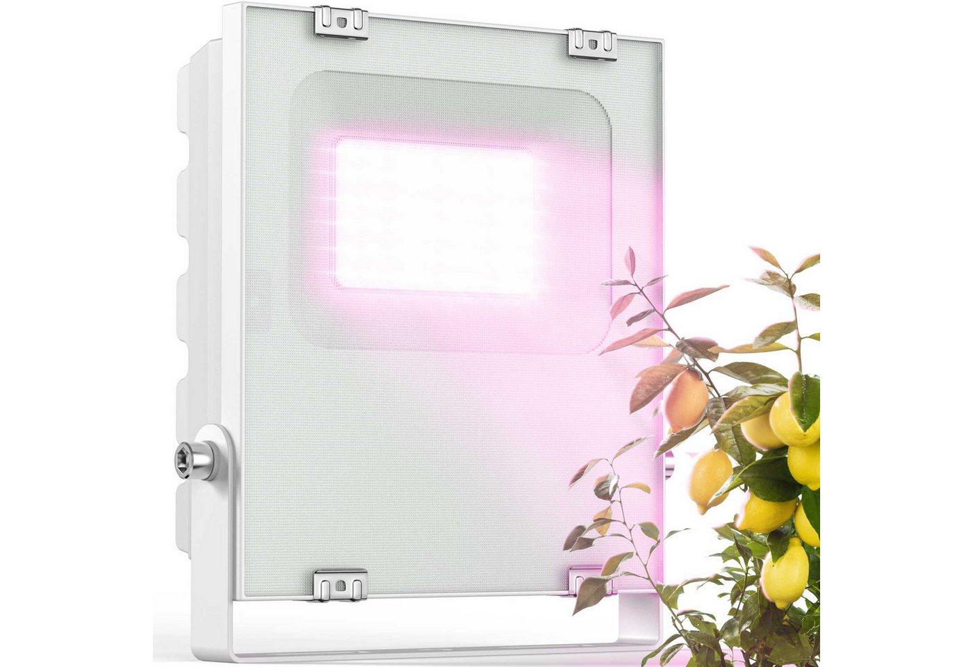Meine Orangerie Pflanzenlampe 20W LED-Spezialleuchte zur Überwinterung von Pflanzen, LED fest integriert, 400-750nm, LED-Pflanzenlampe Speziallichtquelle Bild 5