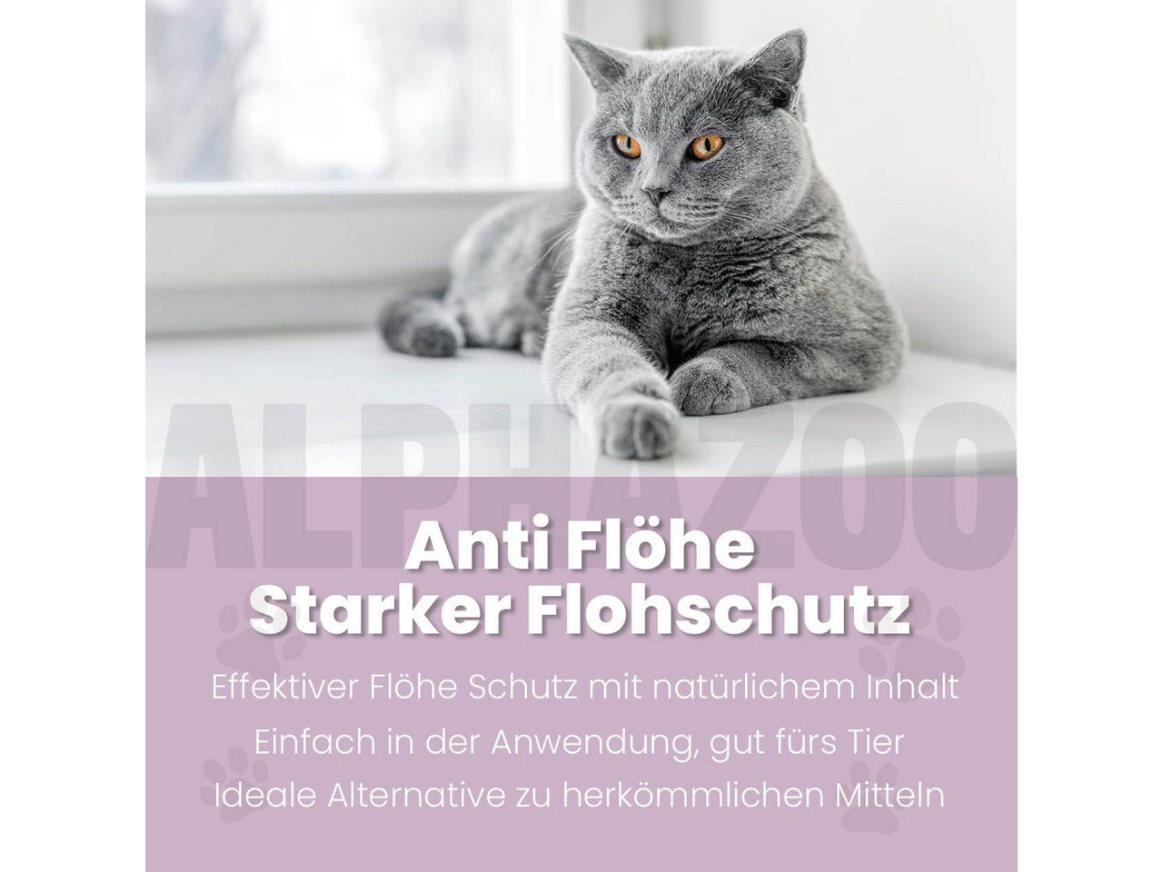 ALPHAZOO Insektenspray ByeByeVloh Spot-On für Katzen 100 ml, 100 ml, 1-St., Flohmittel gegen Flöhe & Juckreiz, Anti Floh Spot On gegen Flöhe, Flohmittel für Freigänger