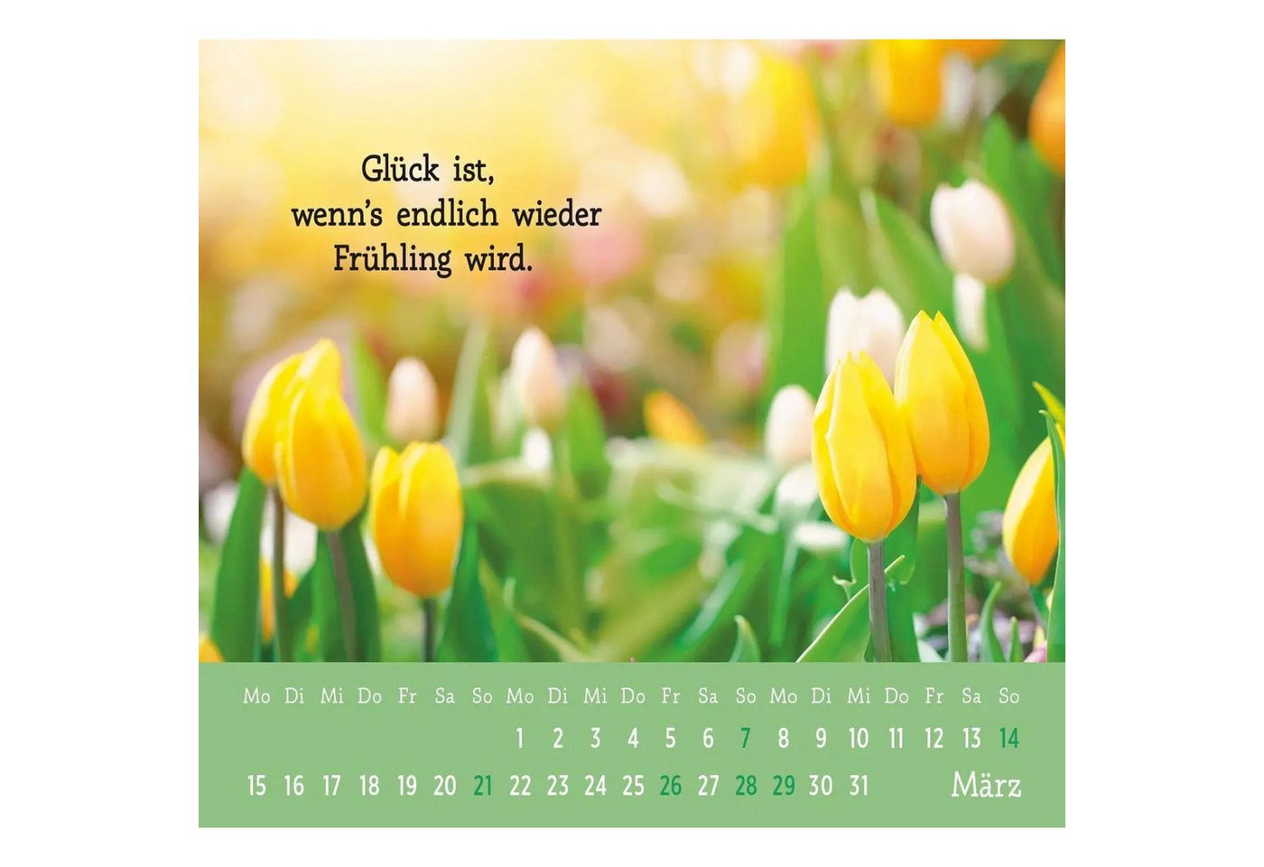 groh Verlag Monatskalender Mini-Kalender 2027: Der kleine Glückskalender Bild 4