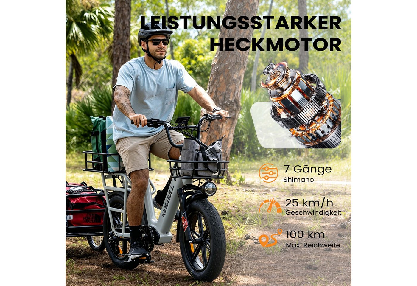 Vankel E-Bike Cityrad Cargo Damen u. Herren 20"x4" 720Wh 48V, max.100km Hydraulikbremsen, Kettenschaltung, Heckmotor, 720 Wh, (Beleuchtungsset mit Batterieladegerät, Batterieschlüssel, Werkzeug), Lasten-Elektrofahrrad mit Fat-Reifen, großem Transportträger Bild 2