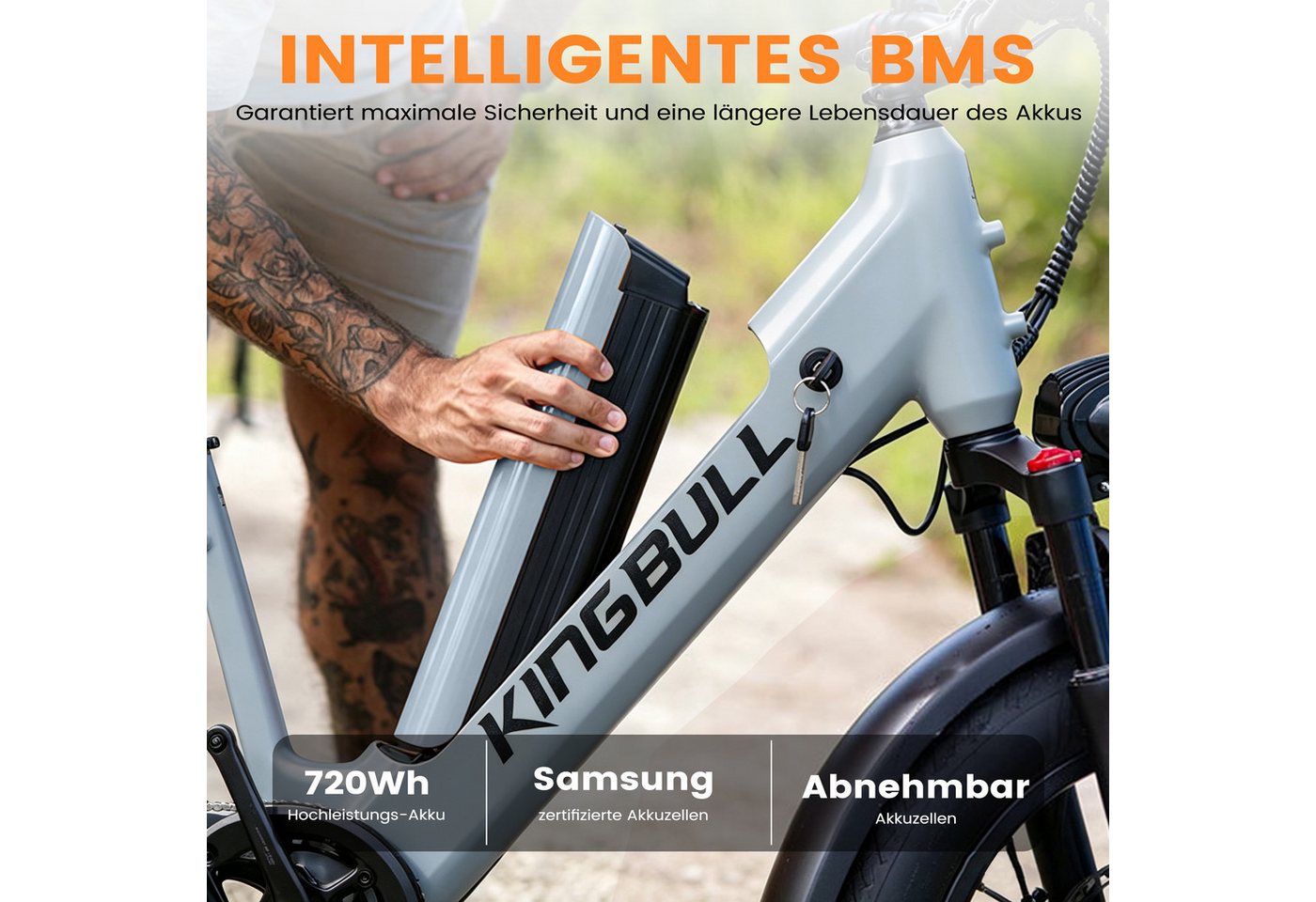 Vankel E-Bike Cityrad Cargo Damen u. Herren 20"x4" 720Wh 48V, max.100km Hydraulikbremsen, Kettenschaltung, Heckmotor, 720 Wh, (Beleuchtungsset mit Batterieladegerät, Batterieschlüssel, Werkzeug), Lasten-Elektrofahrrad mit Fat-Reifen, großem Transportträger Bild 4
