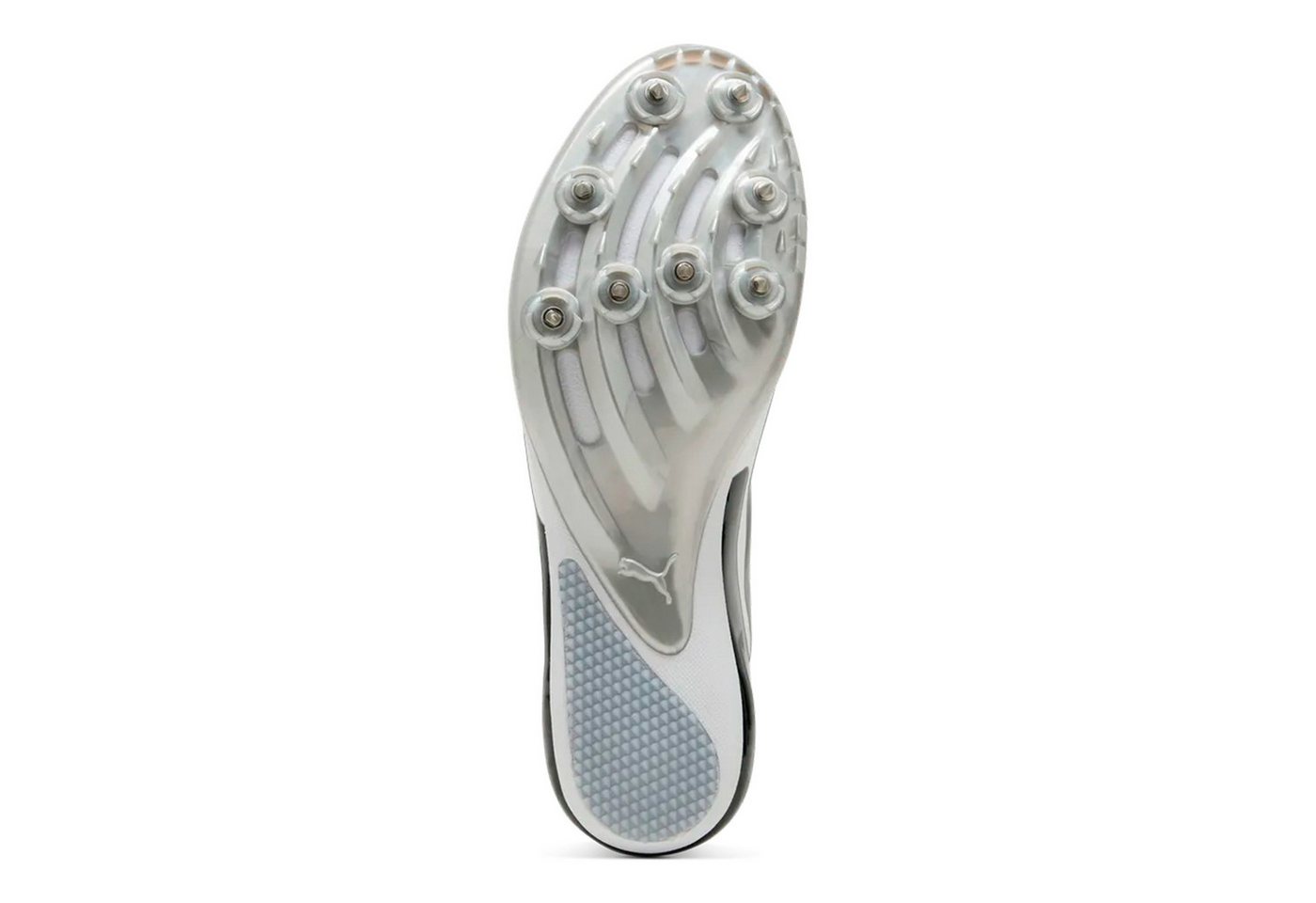 PUMA Evospeed Sprint 14.5 - Spikeschuh Laufschuh
