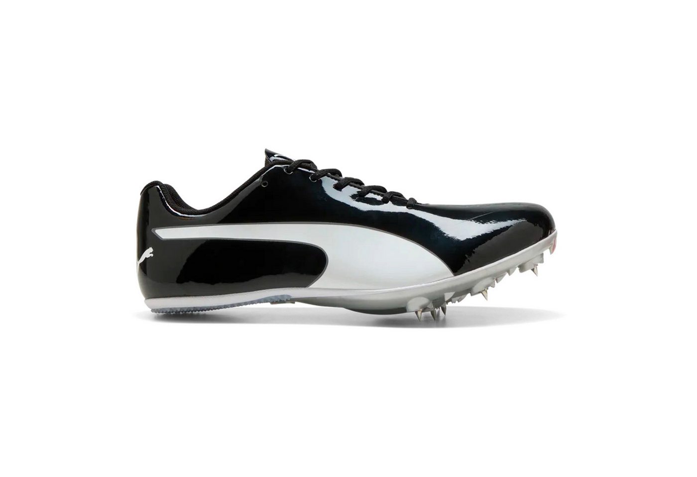 PUMA Evospeed Sprint 14.5 - Spikeschuh Laufschuh Bild 4