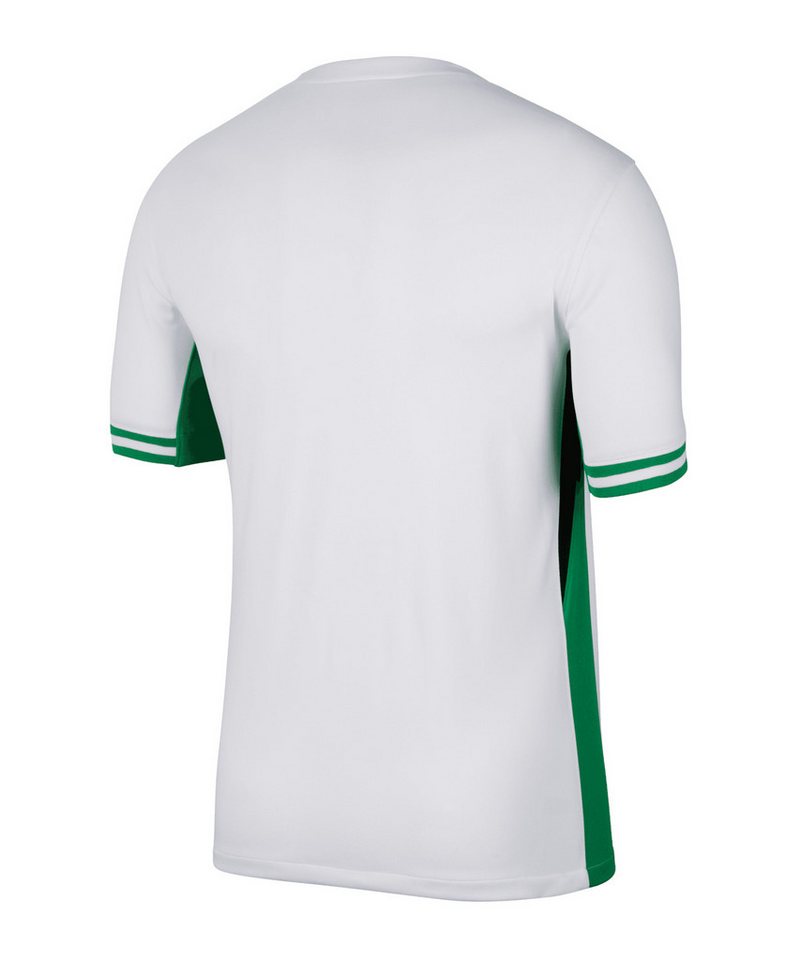 Nike Fußballtrikot Nike Performance NFF Nigeria Trikot Home 2024 Teamsport