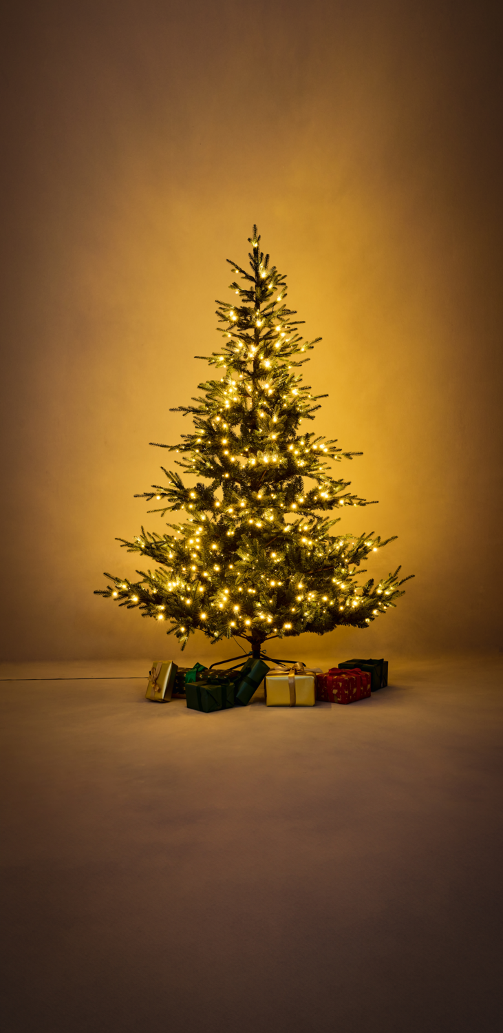 LIVARNO® LED-Weihnachtsbaum, künstlich, H 228 cm Bild 3