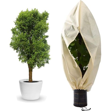 Winter Plant Cover 180x120 Cm, Non-woven, Frost Protection For Pots And Roses
