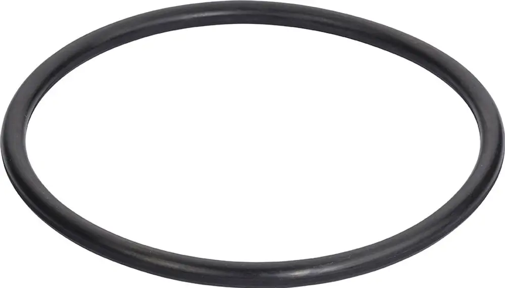 Grünbeck O-ring Für Deckel Zu Geno-feinfilter Fm (kw + Ww), 87003320