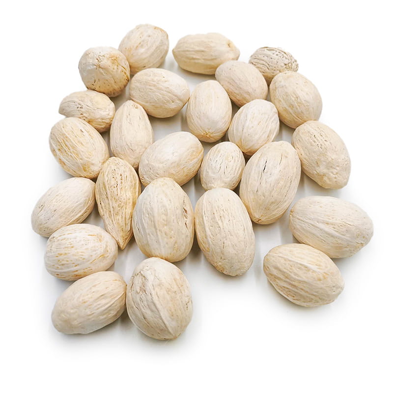 Amra-schoten (gebleicht) – Exotische Getrocknete Kräuter – 100 G