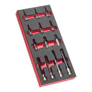 FACOM Schaumstoffmodul 13x Torx Stecks. 1/2