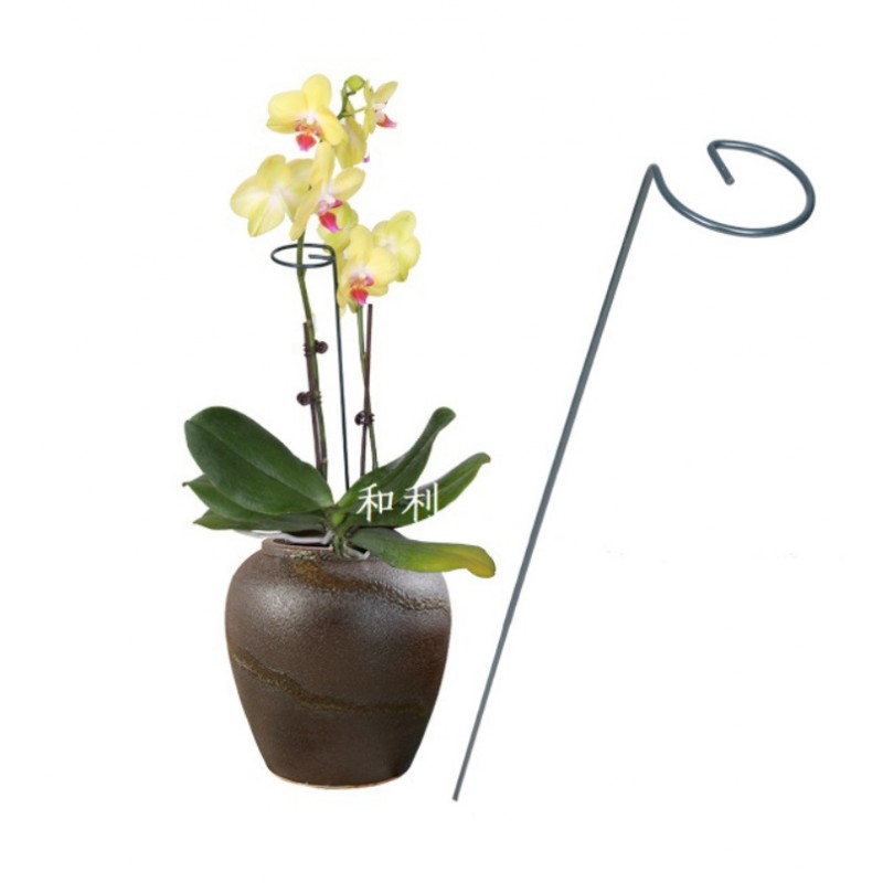 Stütze Für Pflanzen Und Blumen, Gartenpfahl, Ständer, Leiter, 35 Cm, Metall