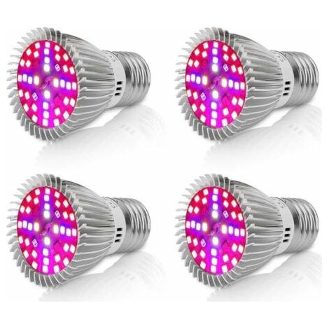 Alliandislampe Tasse Lumière D'Appoint Succulente, Blanc 5,5 Watts 4pcs)