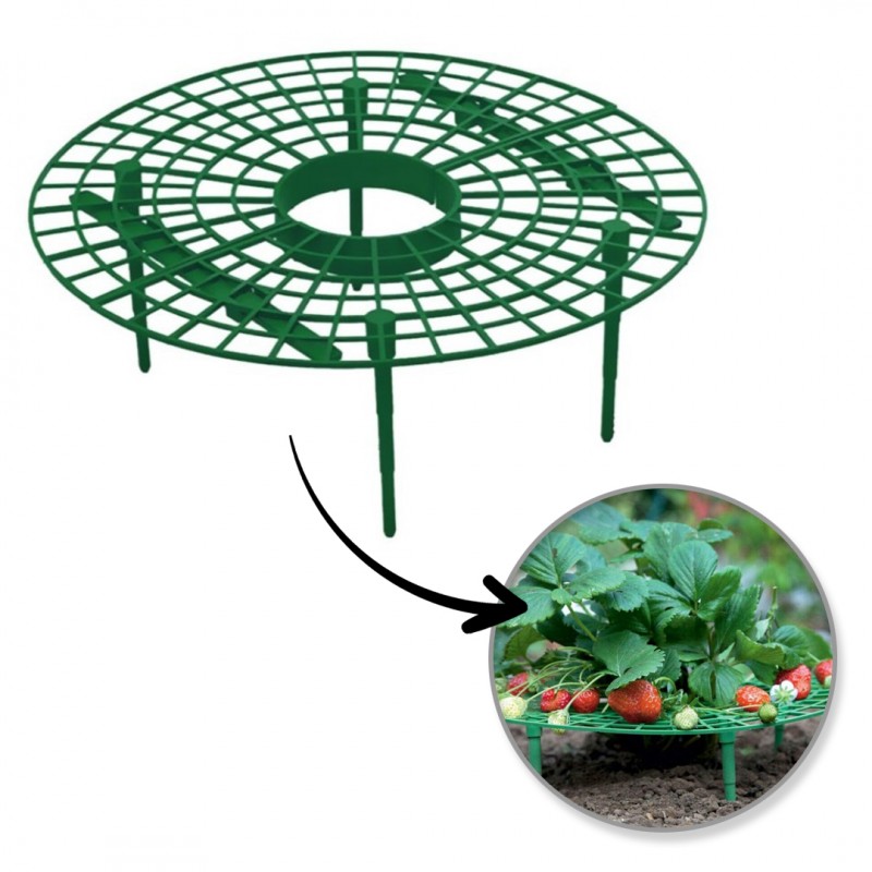 Pflanzenständer, Erdbeerstütze, 30 Cm, Garten-fäulnisschutz