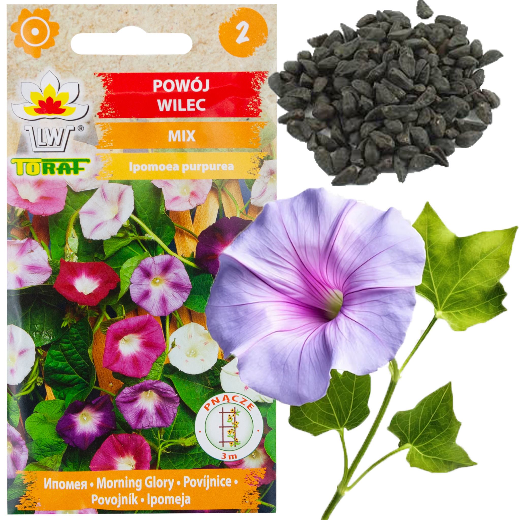 R2757 Prunkwinden-mix 3g Blumensamen Prunkwindenblüten