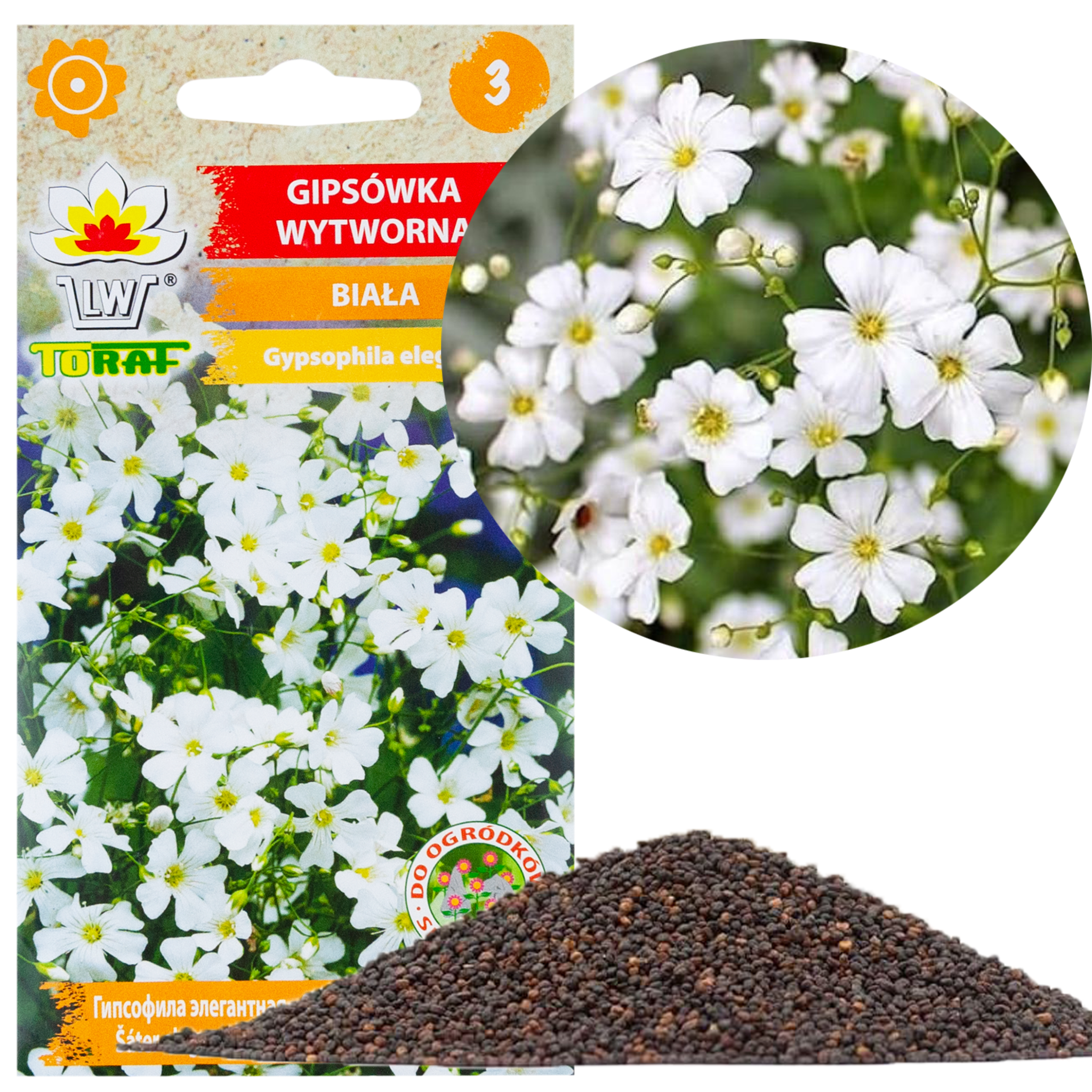 R4584 Gips Restyle Weiß 1g Gipssamen Blumen Für Schlafzimmer Und Steingarten