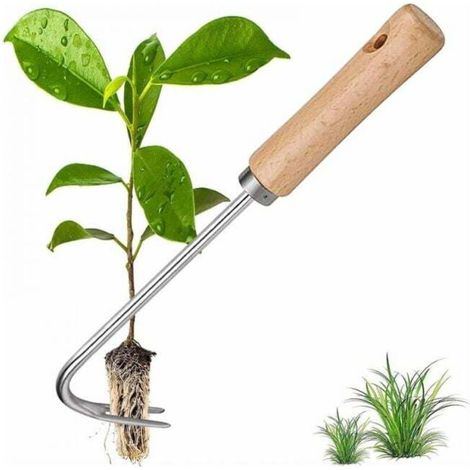 Edelstahl-unkrautentferner, Manueller Garten-unkrautstecher Mit Holzgriff, Edelstahl-unkrautjäger Zum Entfernen Von Unkraut In Ihrem Garten
