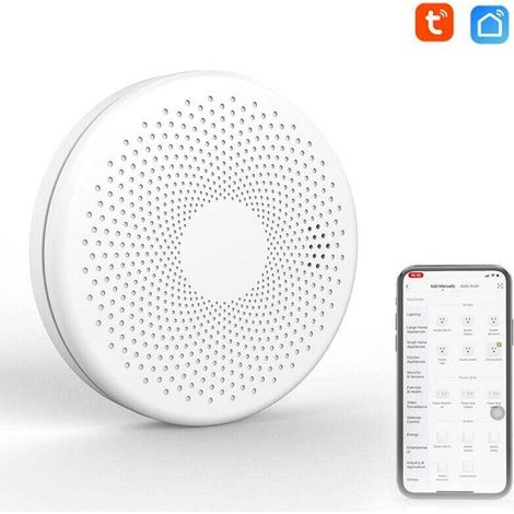 Wifi 2-in-1 Intelligenter Rauch- Und Kohlenmonoxidmelder, Co-gasmelder Mit Stroboskop-lichtalarmfunktion