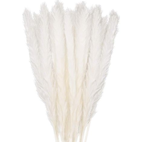 30 Stück Pampasgras, 58 Cm Natürliches Pampas Blumenstrauß Aus Getrockneten Blumen Für Vasen, Weiße Boho-dekoration Für Schlafzimmer, Haus, Wohnzimmer, Hochzeit, Fotografie Und Tischdekoration