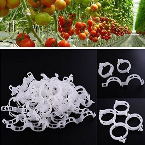 Set Von 100 Weißen Tomaten-halteclips – Fördert Gesundes Vertikales Wachstum.