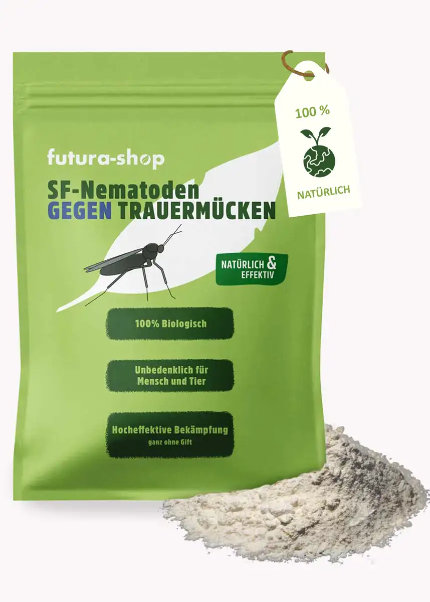 Sf Nematoden Gegen Trauermücken
