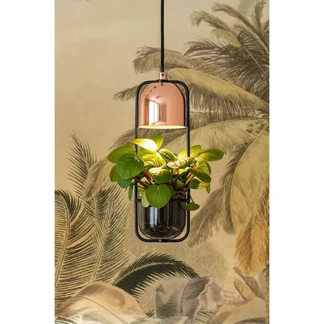 Paulmann Pendelleuchte Fanja 1-flammig"-"014814