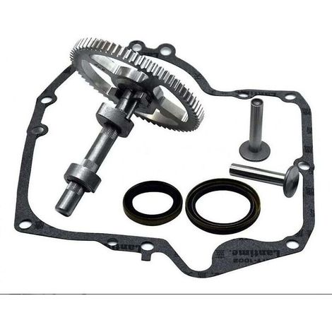 Nockenwelle Briggs & Stratton 793880 – Ersatzkit Mit Öldichtung 795387 – Kompatibel Mit 4-takt-motoren – Hohe Qualität