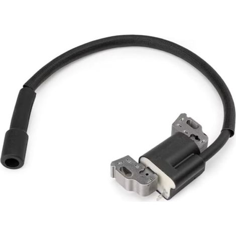 1 Magnetmodul Zur Befestigung Der Zündspule 594626 594456 Für Motor 592841 595038 594626 595304 799650 795315