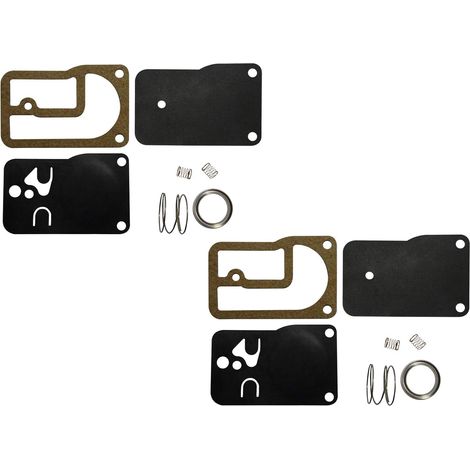 C·t·s Membransatz Für Kraftstoffpumpe, Ersetzt Briggs & Stratton 393397, Kompatibel Mit 401400, 253400-255400, 460700, 402400, 402700, 422400, 422700 (2er-pack)