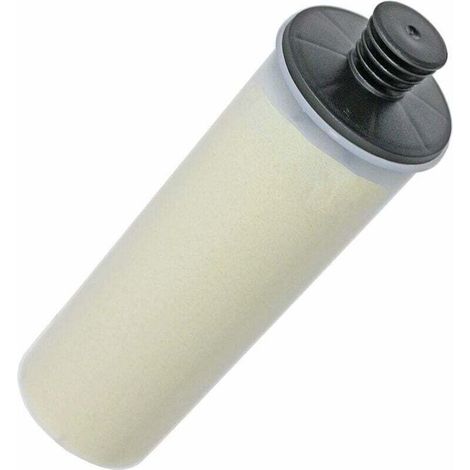 Entkalkungspatrone Für Dampfreiniger Sc3, Kalkablagerungen, Abmessungen: 10 X 5,5 X 25,5 Cm Für Dampfreiniger