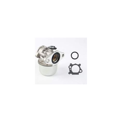 Ersatz-vergaser-kit Kompatibel Mit Briggs & Stratton 497586, 498170, 799868, 498254, 497314, 497347, 698444