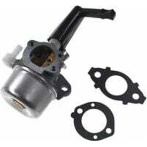 Ersatz-quetschvergaser Briggs & Stratton 696065 Mit Dichtungssatz