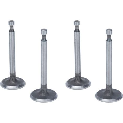 Motorventilsatz, 2 Sets Rostfreie Edelstahl-einlassventile Für 2kw 2.5kw 3kw 168f Gx160 Motoren