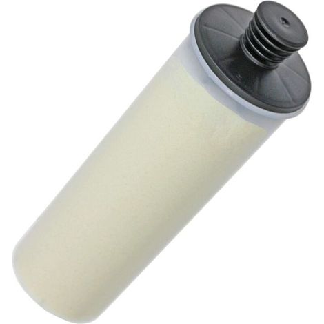 Entkalkende Filterkartusche Für Karcher Sc3 Dampfreiniger