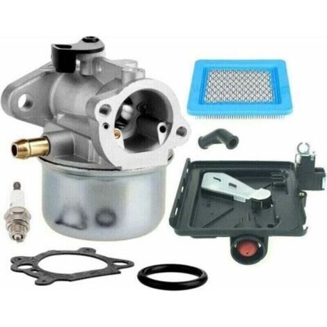 Vergaser 799868 Für Briggs & Stratton Motoren 498170, 799872, 694202, 497586, 498254, 790821 - Kompatibel Mit Vergaser Briggs & Stratton 14111 + 795259. Luftfilterreiniger Und Basis Von