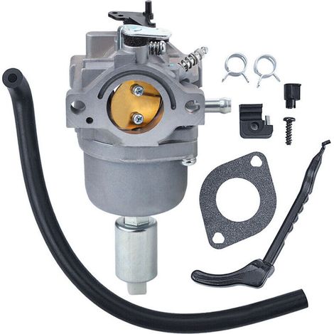 Vergaser 794572 Für 791858 791886 287707 287777 28n707 28n777 28p777 Motor 14ps 15ps 16ps 17ps 18ps